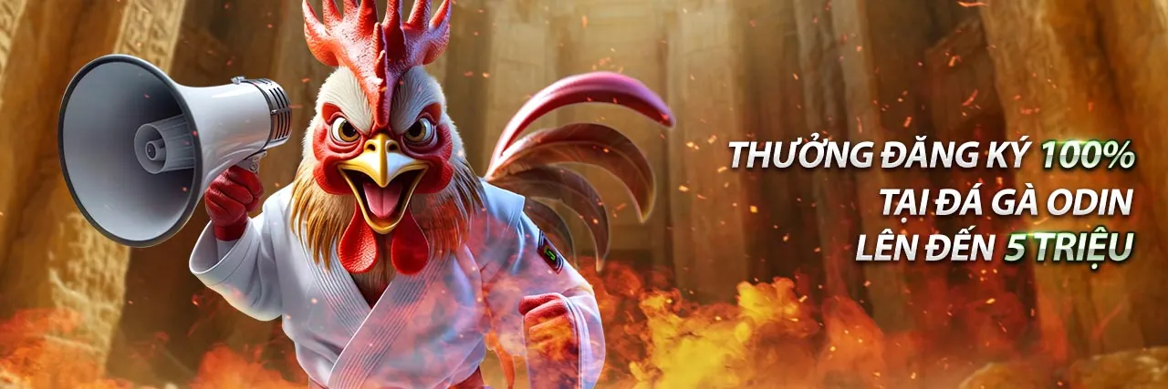 Trận đấu đá gà trực tuyến tại Suncity 8888 với góc quay rõ nét