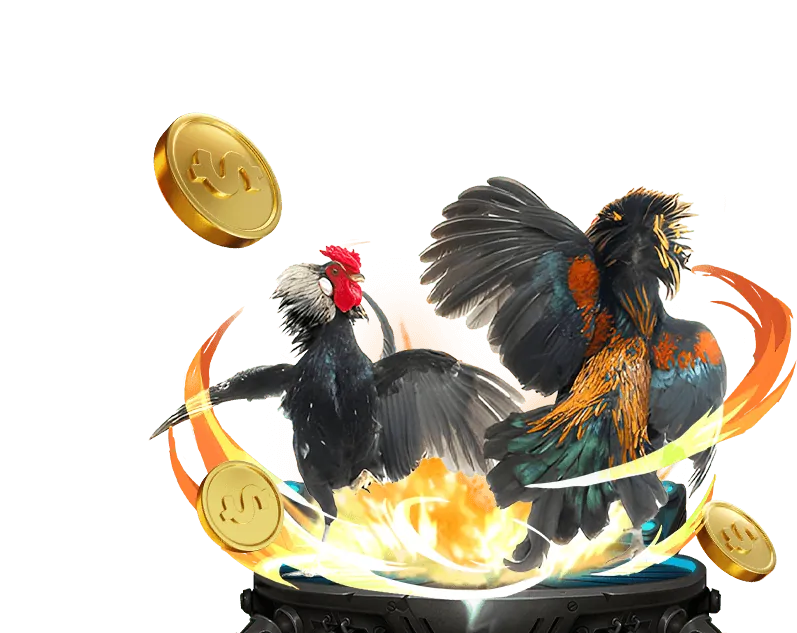 Quy tắc chơi game Suncity 8888